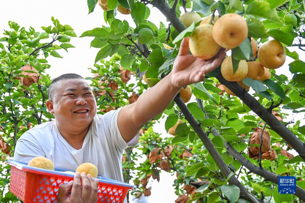 澳门游戏网投排行平台